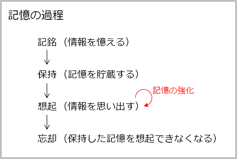 記憶の過程を説明した図