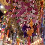 photo6